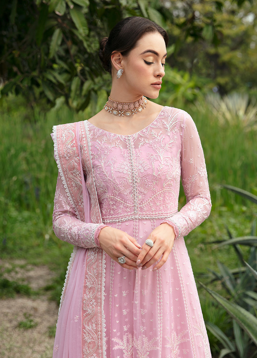 Gulaal | Embroidered Chiffon Eid Collection | AMOUR - Waniyas