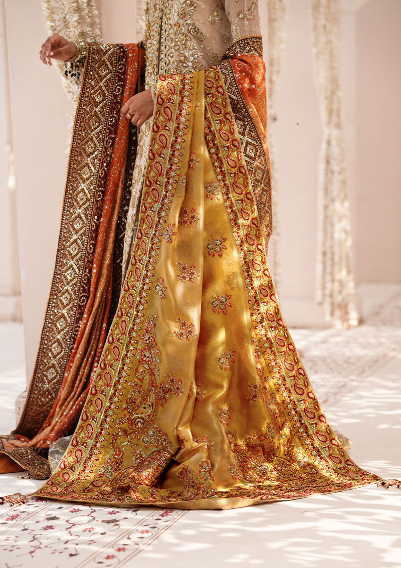 Aik Atelier | Wedding Festive 24 | INDIAN GOLD TISSUE SHAWL