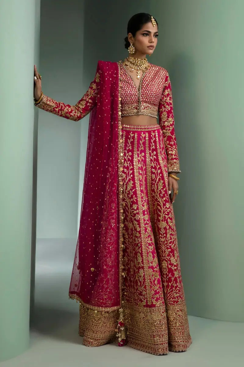 Sana Safinaz | Nura Festive 2023 | N233-004-CT - Waniyas