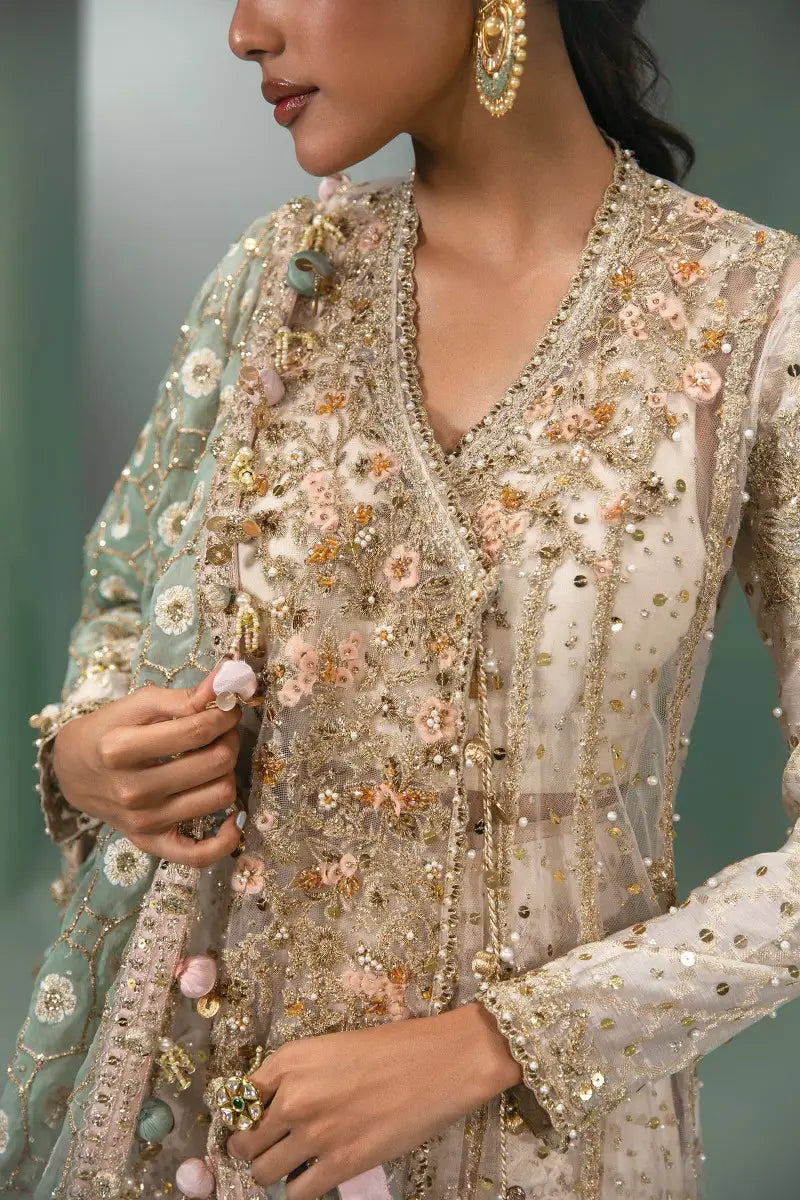 Sana Safinaz | Nura Festive 2023 | N233-005-CT - Waniyas