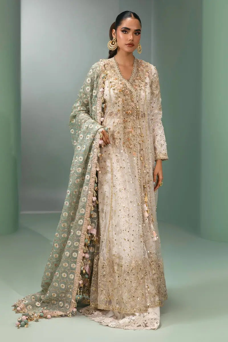 Sana Safinaz | Nura Festive 2023 | N233-005-CT - Waniyas